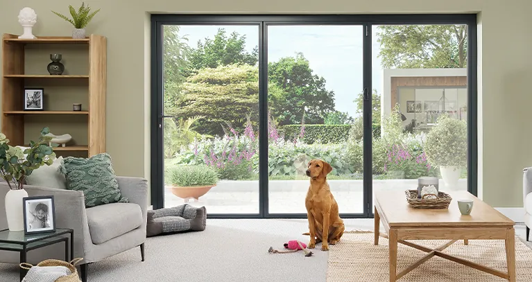 OB36+ Gallery - Slimmest sightlines yet